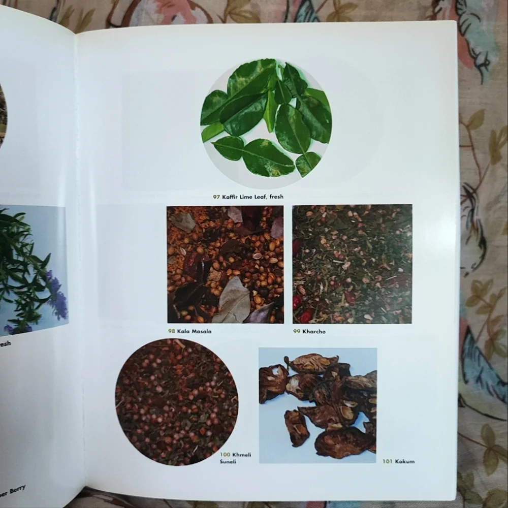 Herbs And Spices Book Glossary Cook Book Culinary Guide Cookbook Tony Hill EUC